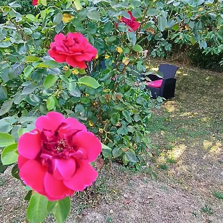 Escapade Chez Anaise Et Yannick 2 فندق مبيت وإفطار ميرانده
